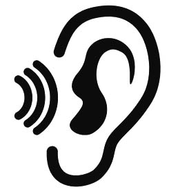 Listen To The Plays
